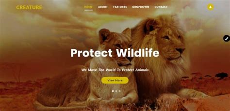 animan website|Animals .